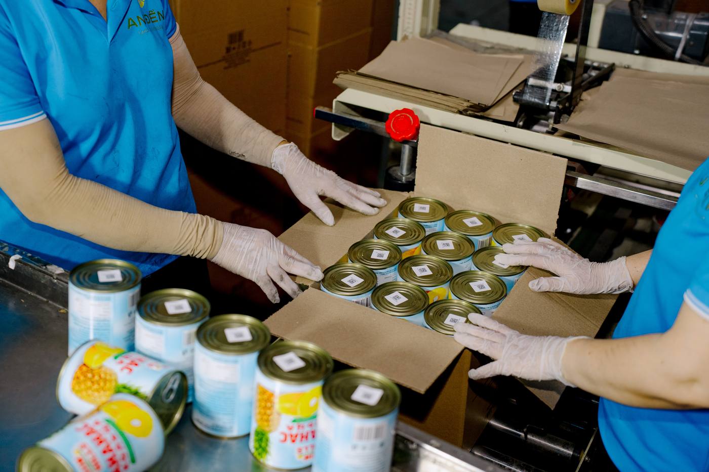 Workers packing canned products