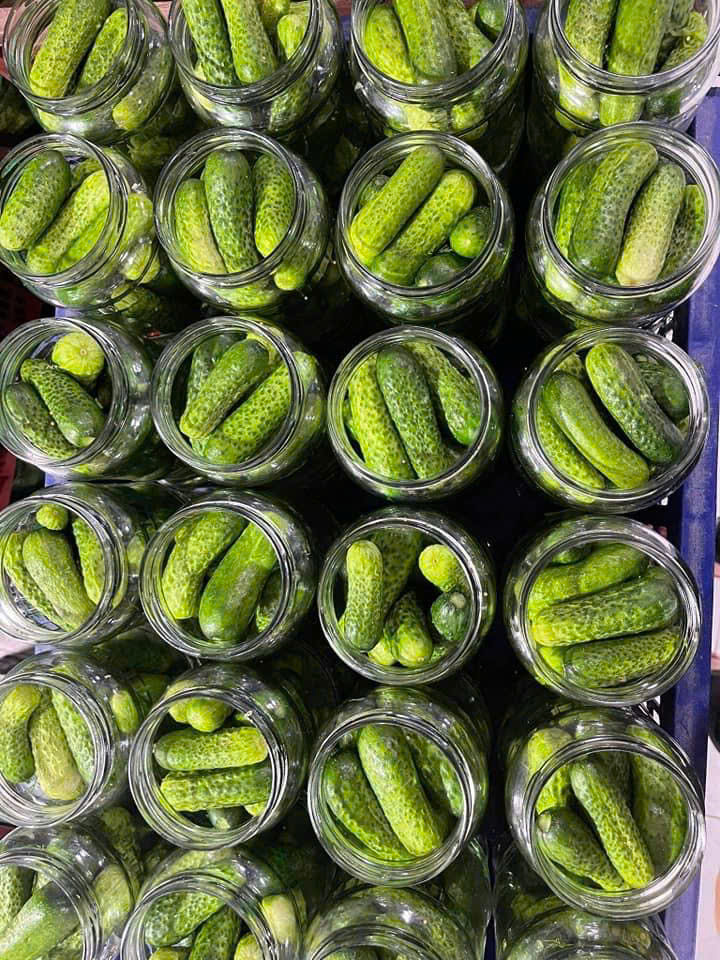 Whole gherkins packed into open jars
