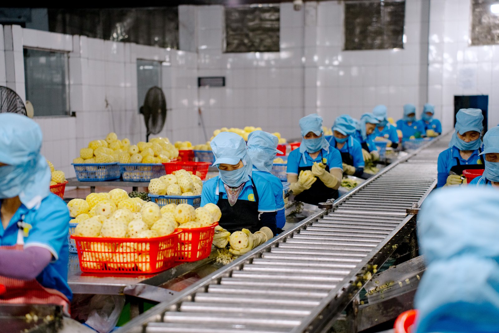 Pineapple preparation line